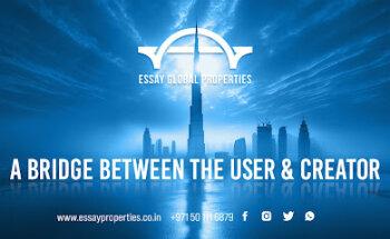 Essay Global Properties