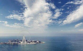 Wikihomes Real Estate Brokers LLC