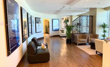 Aspin International Properties L.L.C