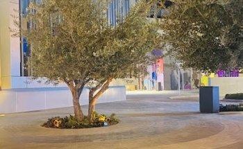 Knight Frank MENA - نايت فرانك الشرق الأوسط و شمال افريقيا