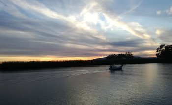 Olea Mar Inmobiliaría