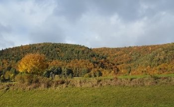 Bourgeoisie de Court