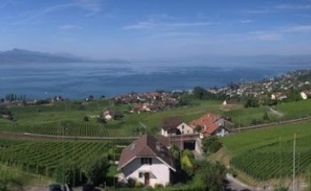 Michel Fontana Immobilier