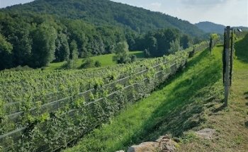 La Prella Immobiliare di Susanna Mastrobuoni