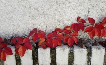 Tucasaenelescorial.com