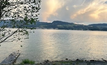 Ela Immobilien Und Bau Gmbh