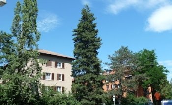 Wohngenossenschaft Reuss