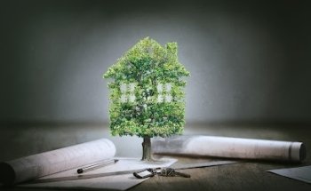 reinhard immobilien coaching GmbH