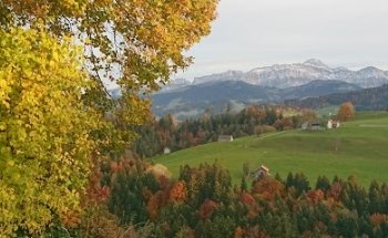 Palme AG. Schwellbrunn