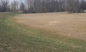 Schwegler Immobilien- & Beteiligungs AG