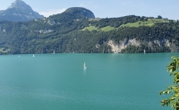 SwissMedAndTravel