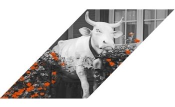 Rechts- und Steuerpraxis H. Zumstein AG