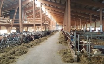 Domaine des Baumes de Bise Sàrl