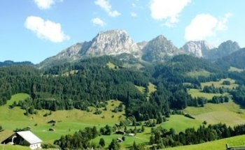 Lenoir Immobilier Château-d'Oex