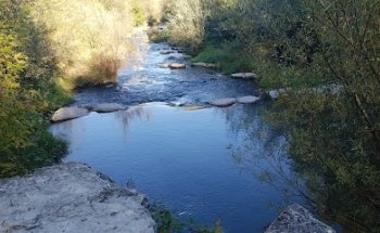 Genossenschaft Choschthuus Rupperswil