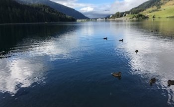 Drusatscha Assetmanagement and Consulting AG