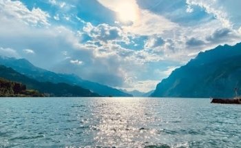 Walensee House & Apartments / Property Management