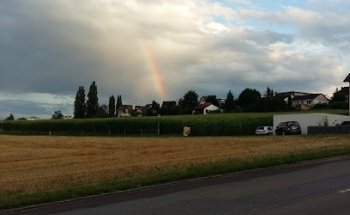 Benz Immo Treuhand Gmbh