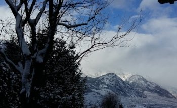 World Optimal Invest Sàrl