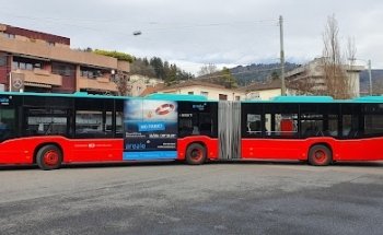 Areale Facility Management - Immobilien - Treuhand - Hauswartung - Biel