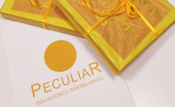 PECULIAR Soluciones Inmobiliarias