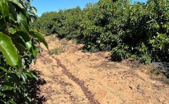 Ijofincas Inmobiliaria