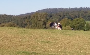 Chastel AG, Niederhasli