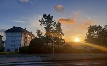 ACEÑA GESTION INMOBILIARIA