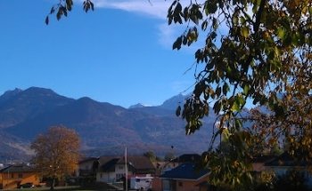 Avim Prestige & Services Sa