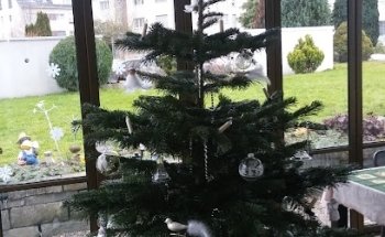 Bauko Bau und Verwaltungs AG