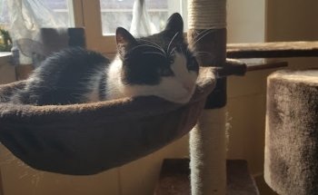 Wohngenossenschaft Dach