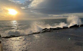 INMOBILIARIA GRUPO NEXUS