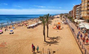 Cora Service og Megling