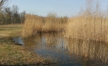 Immobilienbüro Atlas Real AG