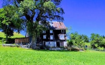 Home-Vermittlung Höhener