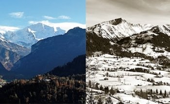 Ritter Collection Real Estate Immobilien