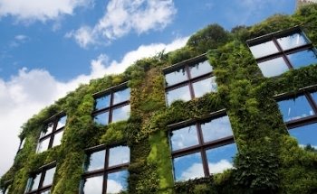 töngi immoservice gmbh