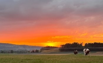 Mrs. Christina Staub Tanner Treuhand