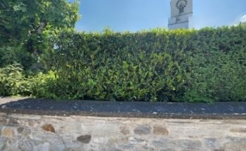 Unterkulmer Bären Immobilien AG