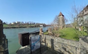 Paulette Reinhard, Liegenschaftenhandel