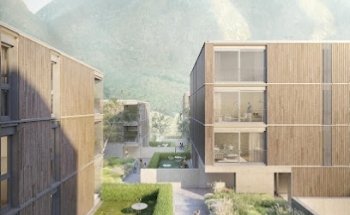 Locarnini e Partners ASSICURAZIONI - Elena Pizzetti Canato