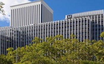 MC Luxury Real Estate