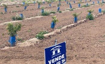 INMOBILIARIA BELLVER