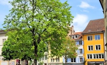 Genossenschaft 'zum Felsental'