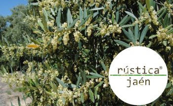 rústicajaén