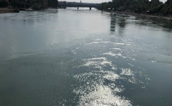 Chrüzmatt Immobilien AG c/o Walter Ernst Meier