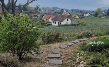 Apollo Management S.A.