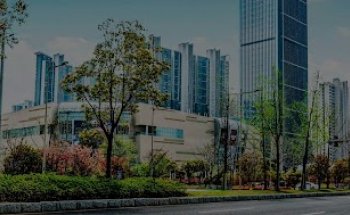 Bolsa Inmobiliaria Puebla