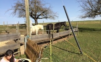 Grünenwald Immobilien GmbH