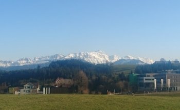 Bodenmann Immobilien AG